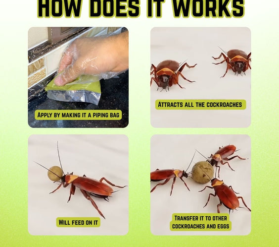 ShopieBuy Cockroach Killer 45g