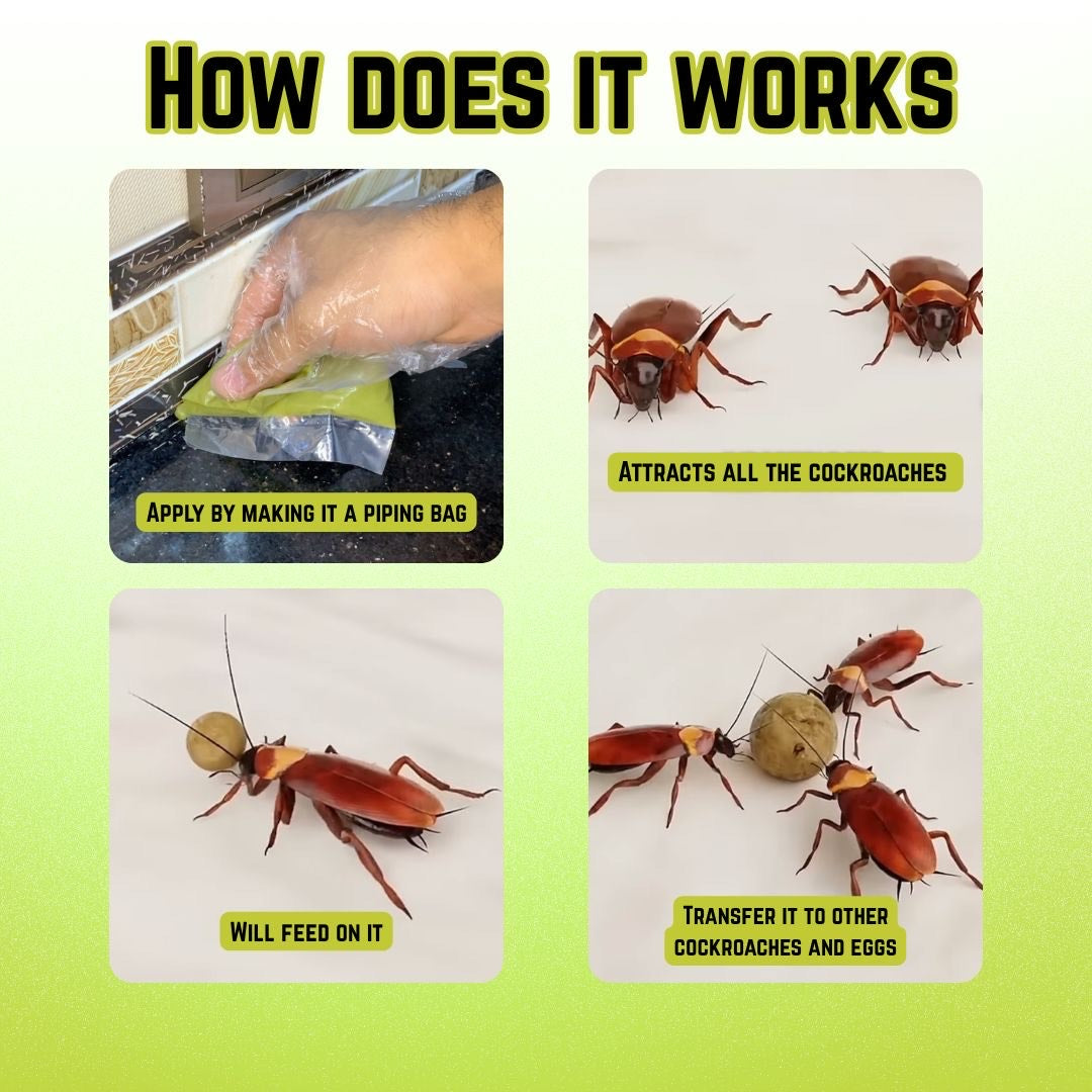 ShopieBuy Cockroach Killer 45g