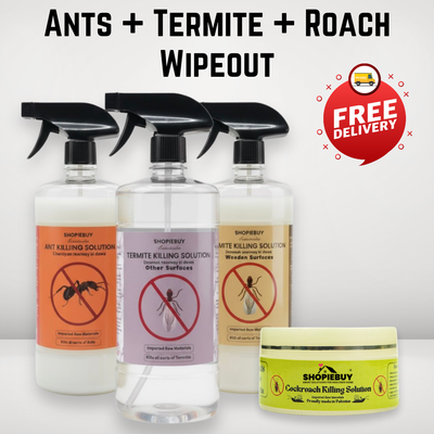 11:11 Pest-Free Home