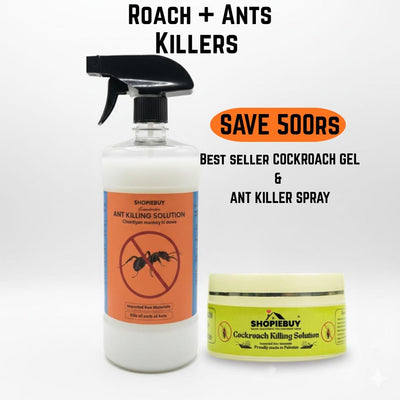 11:11 Roach & Ant relief